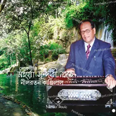 Amar Antare Bairagir Lau - Nilratan Kanjilal album cover 