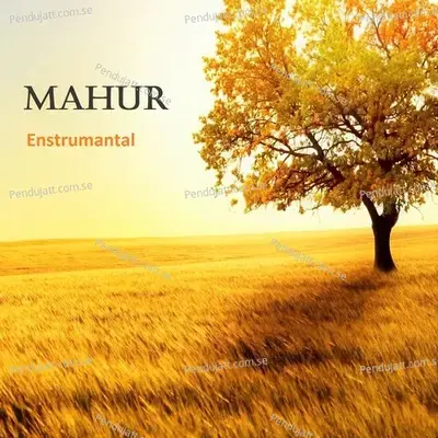 Mahur - Vedat Teber album cover 