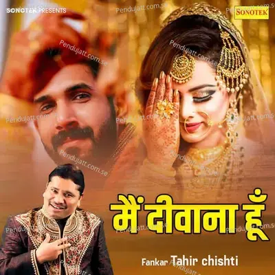 Mai Deewani Hu - Tahir Chishti album cover 