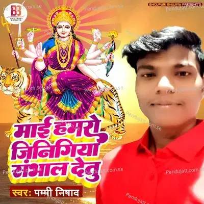 Mai Hamro Jinigiya Sanbhal Detu - Pammi Nishad album cover 