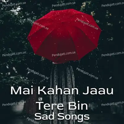 Mai Kahan Jaau Tere Bin - Sad Songs - Various Artists