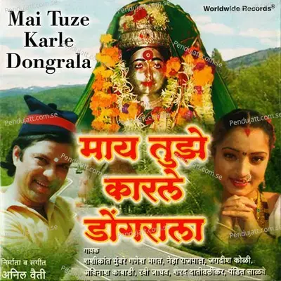 Mai Tuze Karle Dongrala - Sharad Daativailkar album cover 