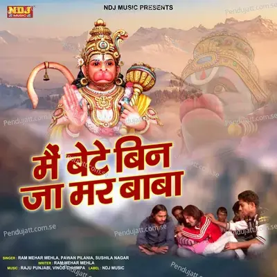 Main Bete Bin Ja Mar Baba - Pawan Pilania album cover 