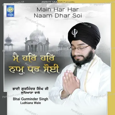 Main Har Har Naam Dhar Soi - Bhai Gurminder Singh Ji Ludhiana Wale cover album