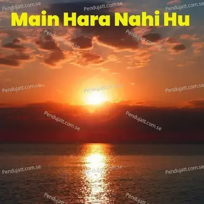 Main Hara Nahi Hu - Mr. Maxxx album cover 