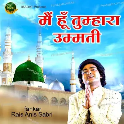 Main Hoon Tumhara Ummati - Rais Anis Sabri album cover 
