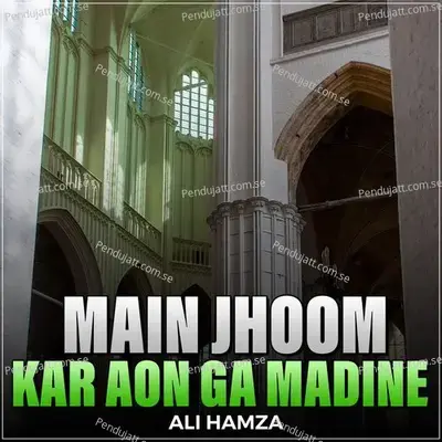 Main Jhoom Kar Aon Ga Madine - Ali Hamza album cover 