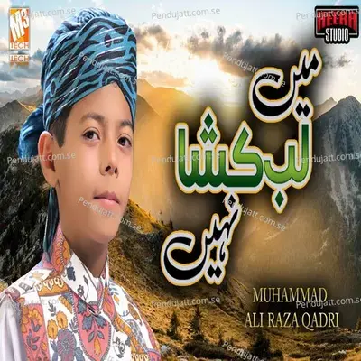 Main Lab Kushaa Nahi Hun - Muhammad Ali Raza Qadri album cover 