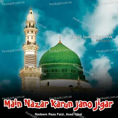 Main Nazar Karun Jano Jigar - Nadeem Raza Faizi album cover 