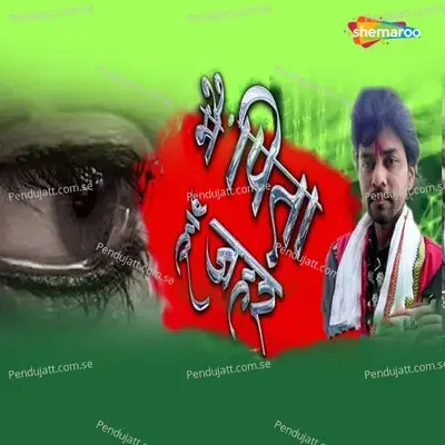 Main Pita Hun Zaha - Radheshyam Rasiya album cover 