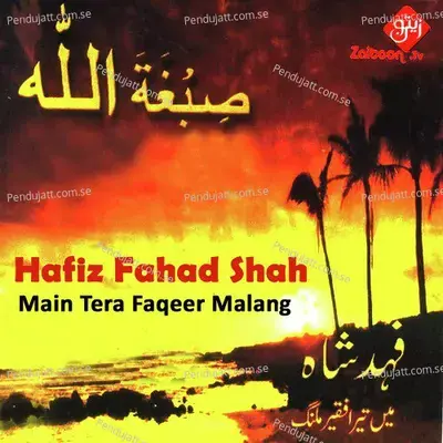 Mera Wird E Lab - Hafiz Fahad Shah album cover 