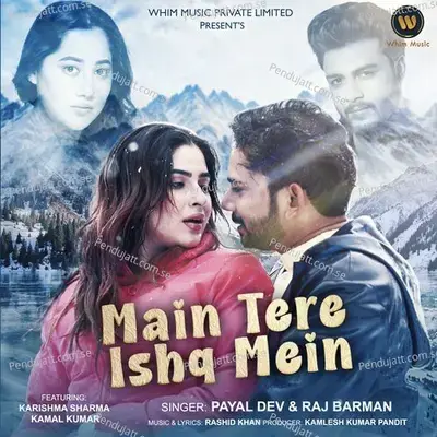 Main Tere Ishq Mein - Payal Dev album cover 