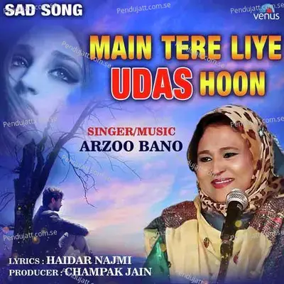 Main Tere Liye Udas Hoon - Arzoo Bano album cover 