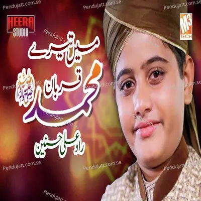 Main Tere Qurban Muhammad - Rao Ali Hasnain album cover 