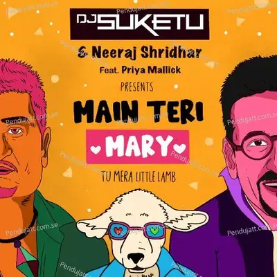 Main Teri Mary - DJ Suketu album cover 
