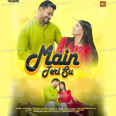 Main Teri Su - Parveen Tosham album cover 