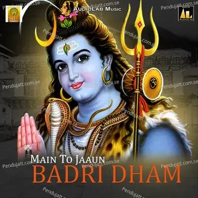 Shree Badrinath Ji Ki Aarti - Sunil Patni album cover 