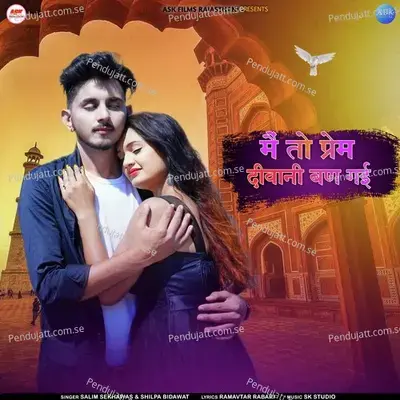 Main To Prem Diwani Ban Gayi - Salim Shekhawas album cover 