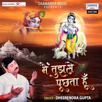 Main Tujhse Puchta Hu - Dheerendra Gupta Dheer album cover 