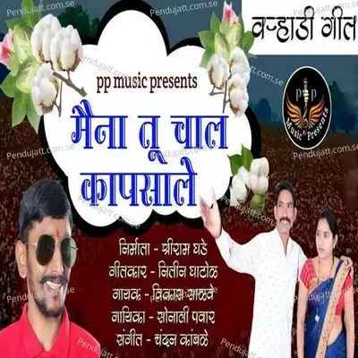 Maina Tu Chal Kapsale - Vikas Salve album cover 
