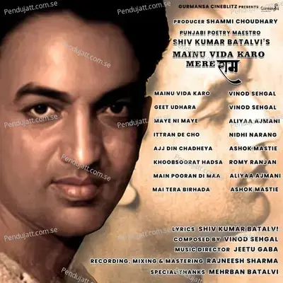 Mai Tera Birhada - Ashok Mastie album cover 