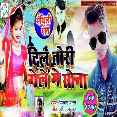 Maithili Geet Dil Tori Gele Ge Sona - Vikash Raja album cover 