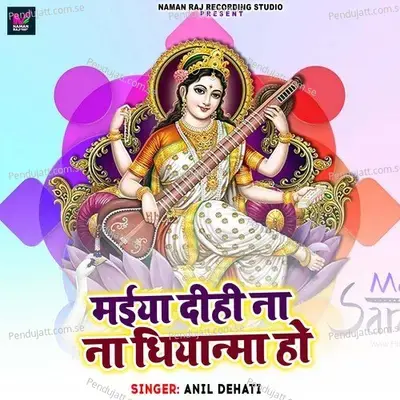 Maiya Dihi Na Na Dhiyanma Ho - Anil Dehati album cover 