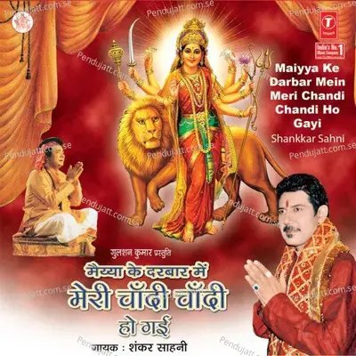 Jo Bole Tar Jaye - Shankar Sahney album cover 