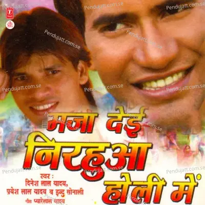 Aayil Holi Ke Bahaar - Dinesh Lal Yadav album cover 