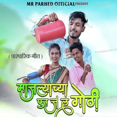 Majalyachya Fajal Gothi - Mr.Parhed album cover 