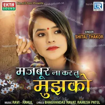 Majbur Na Kar Tu Mujhko - Shital Thakor album cover 