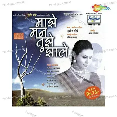 Rajmahali Mi Vanvasi - Sawani Shende album cover 