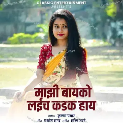 Majhi Bayko Laich Kadak Hay - Krushna Pawar album cover 