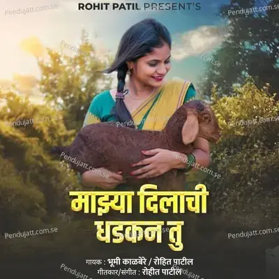 Majhya Dilachi Dhadkan Tu - Rohit Patil album cover 