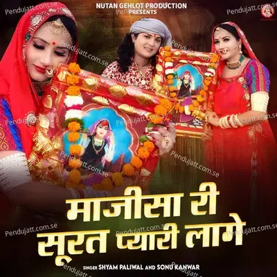 Majisa Ri Surat Pyari Lage - Shyam Paliwal album cover 