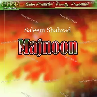 Majnoon - Saleem Shahzad cover album