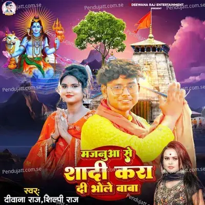 Majnuaa Se Shadi Kara Di Bhole Baba - Deewana Raja album cover 