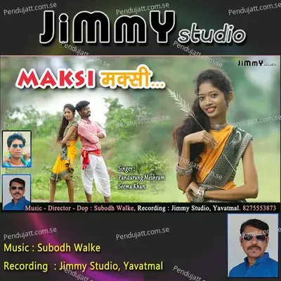 Maksi Maksi - Pandurang Meshram album cover 