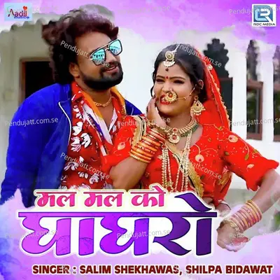 Mal Mal Ko Ghaghro - Salim Shekhawas album cover 
