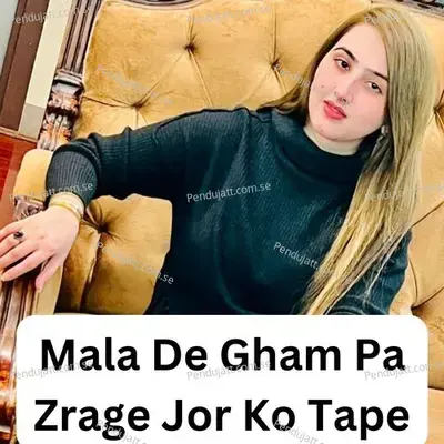 Mala De Gham Pa Zrage Jor Ko Tape - Dil Raj album cover 