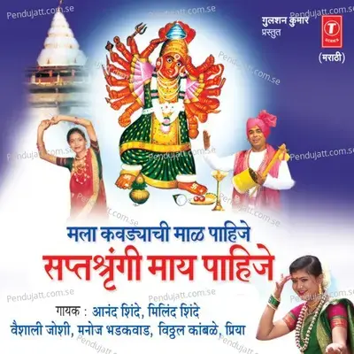 Basali Vanichya Dongraat - Anand Shinde album cover 