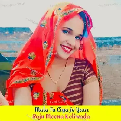 Mala Tu Liya Je Yaar - Raju Meena Koliwada album cover 