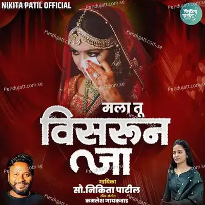 Mala Tu Visarun Ja - Nikita Patil album cover 