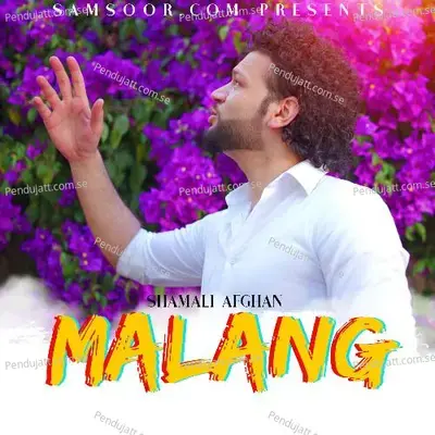 Malang - Shamali Afghan album cover 