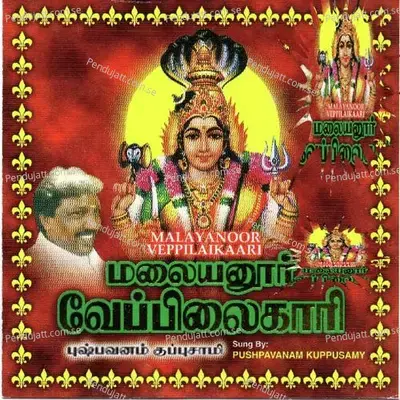 Arul Thaarum Amma - Pushpavanam Kuppusamy album cover 