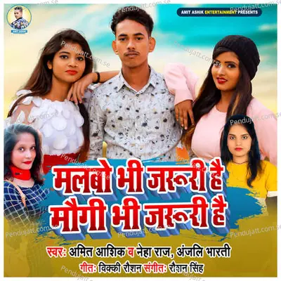 Malbo Bhi Jaruri Hai Bhi Jaruri Hai - Amit Ashik album cover 