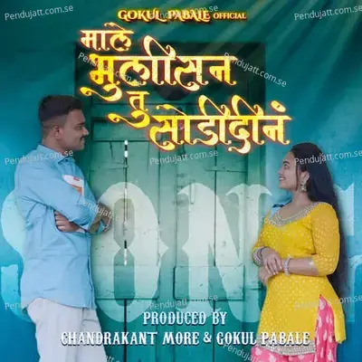 Male Bhulisan Tu Sodidina - Gokul Pabale album cover 