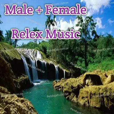 Male Female Relex Music - Lakhan Hire album cover 