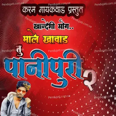 Male Khavad Tu Pani Puri 2 - Megha Musale album cover 