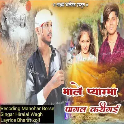 Male Pyarma Pagal Karigai - Hiralal Wagh album cover 